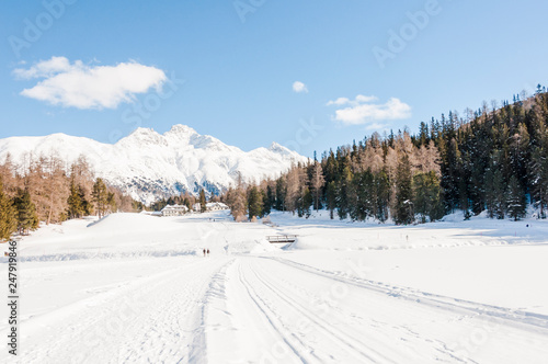 St. Moritz  St. Moritzersee  Stazerwald  Winter  Wintersport  Oberengadin  Alpen  Graub  nden  Schweiz