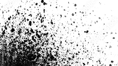Splash of black drops isolated on white background
