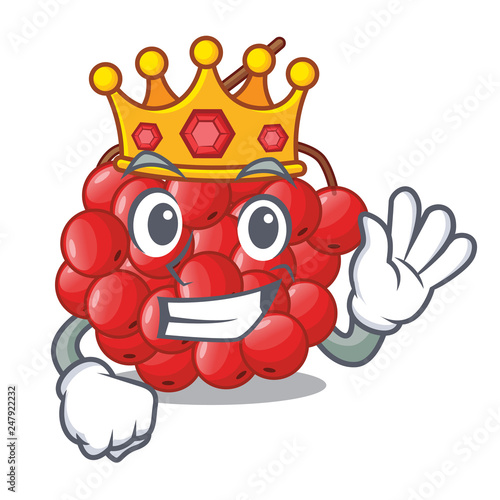 King rowan berries isolated with the mascot