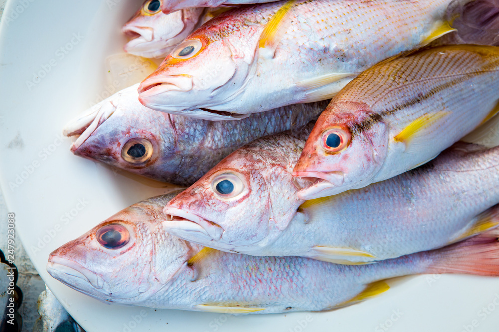 Fresh brown striped snapper for seafood dishes. Fresh fish placed in the market. brown striped snapper on the plate Fresh brown striped snapper for seafood dishes. Fresh fish placed in the market. brown striped snapper on the plate