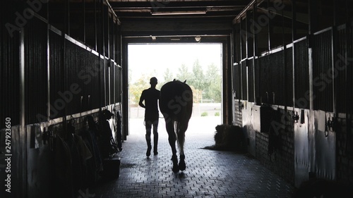 Young jockey walking with a horse out of a stable. Man leading equine out of barn. Male silhouette with stallion. Rear back view. Love for animal. Beautiful background