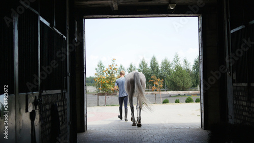 Young jockey walking with a horse out of a stable. Man leading equine out of barn. Male silhouette with stallion. Rear back view. Love for animal. Beautiful background