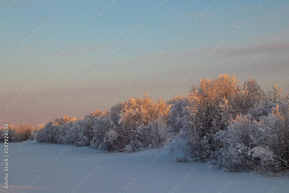 Arkhangelsk region. Winter in the vicinity of the village Levkovka.