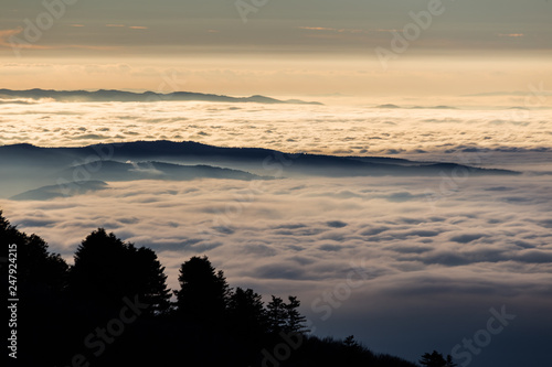 Beautiful view of Umbria valley  Italy  covered by a sea of fog at sunset  with beautiful warm colors and trees silhouettes in the foreground