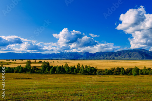 Mountain valley, golden autumn panorama landscape, Siberia, Altai Republic, Russia