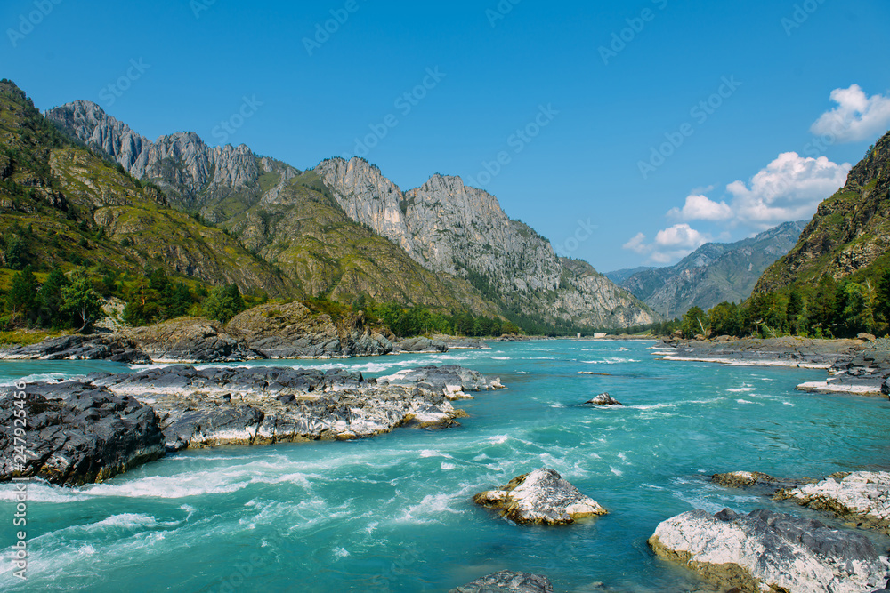 The Altay landscape with bright turquoise mountain river Katun and green rocks, Siberia, Altai Republic
