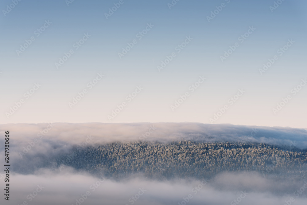 verschneiter Wald im Wolkenmeer bei Sonnenaufgang verschneiter Wald im Wolkenmeer bei Sonnenaufgang