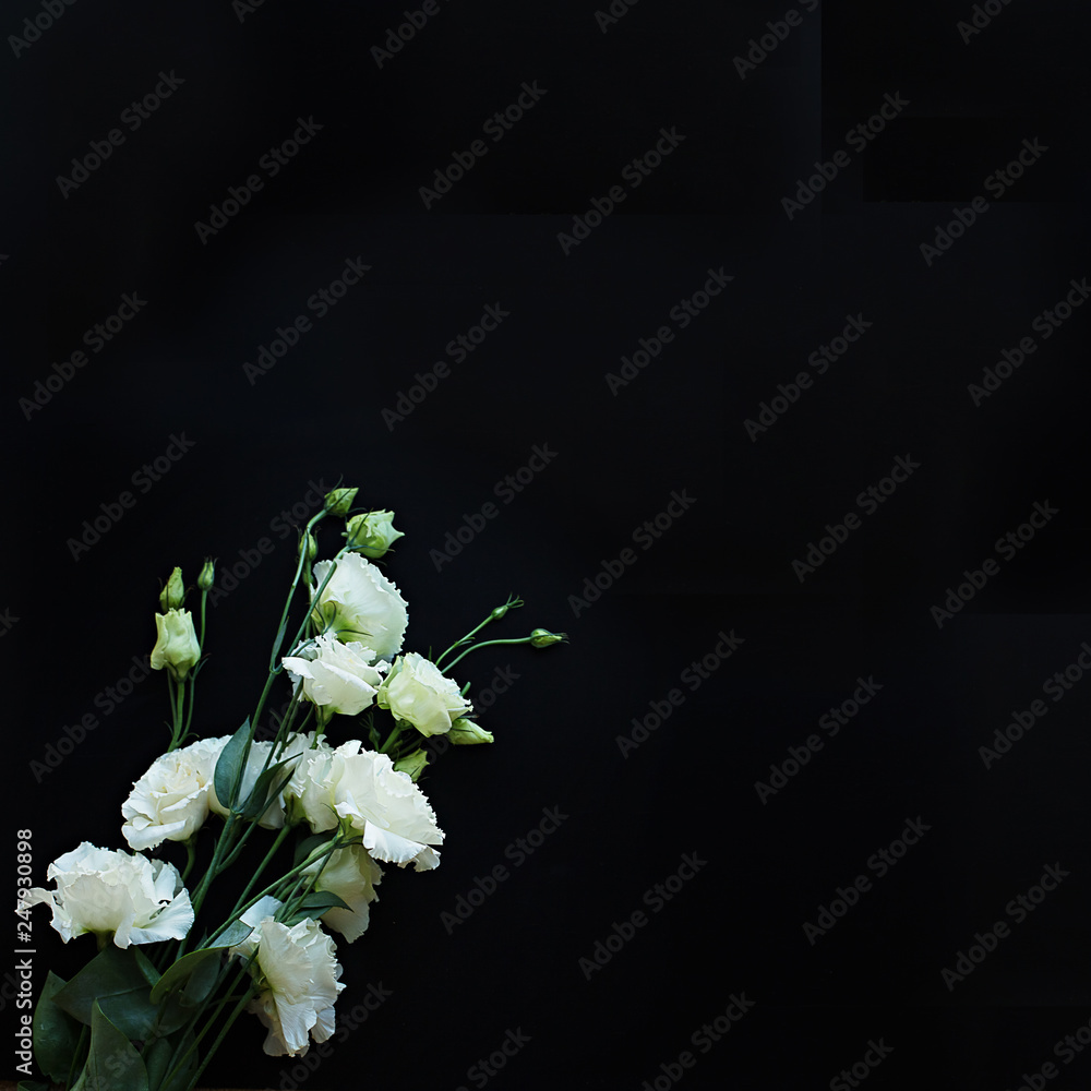 Obraz premium bouquet of white alstroemeria on a black square background