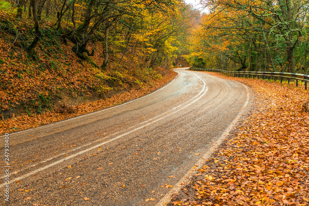 automobile highway in the mountains, dangerous turns. autumn landscape