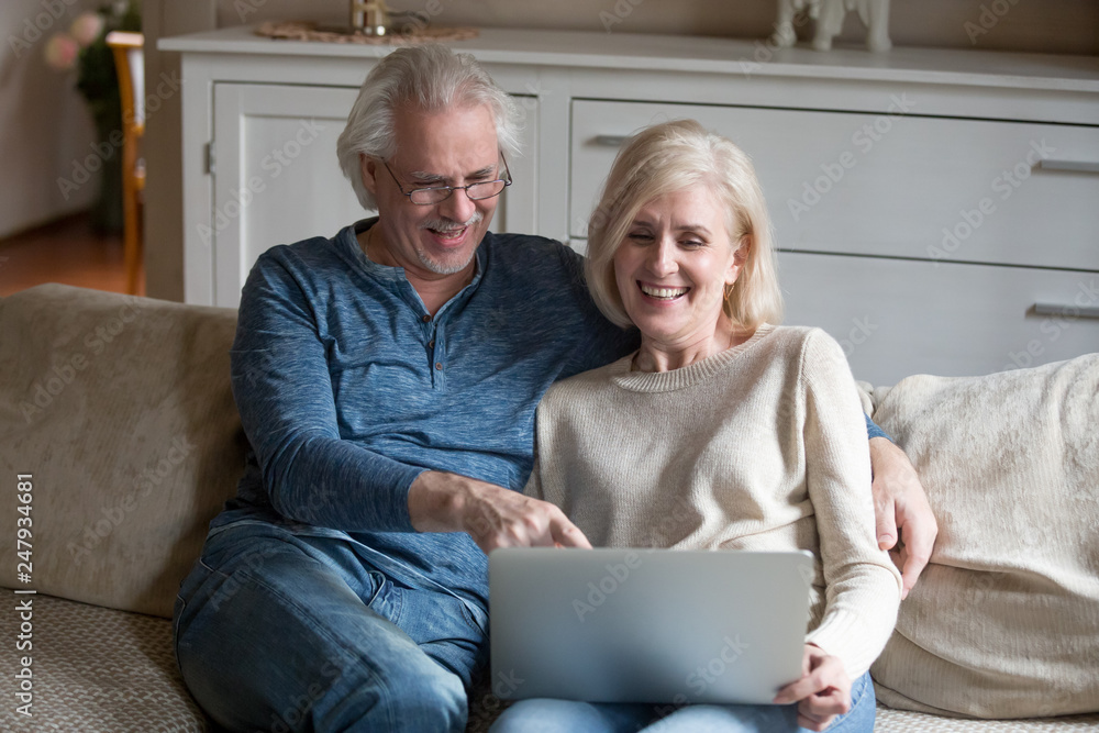 Senior couple sitting on comfortable couch watching video on computer