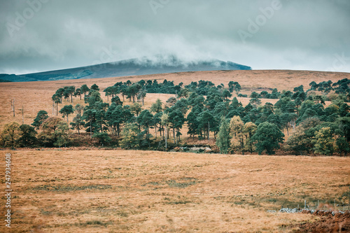 Wicklow drive photo