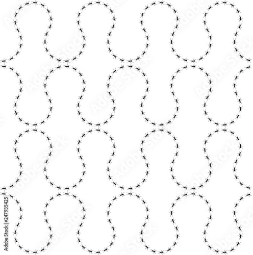 Seamless pattern ants path. Black lines of worker ants isolated on white background. Vector illustration