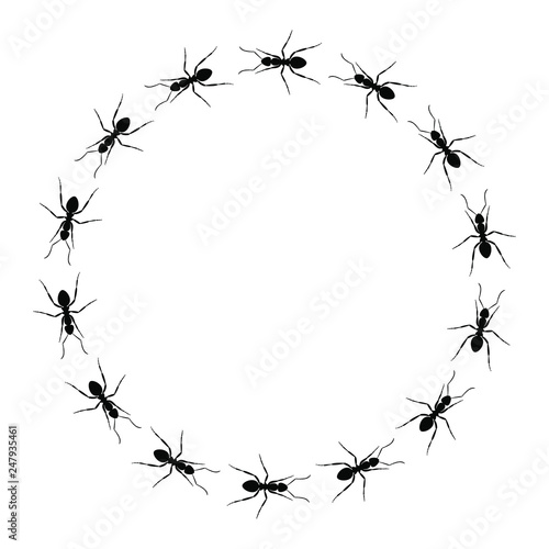 Frame from ants going in a circle. Path ants on circle. Ant trails. Vector illustration