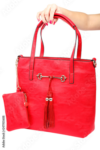 Fashionable women bag in hand on white background