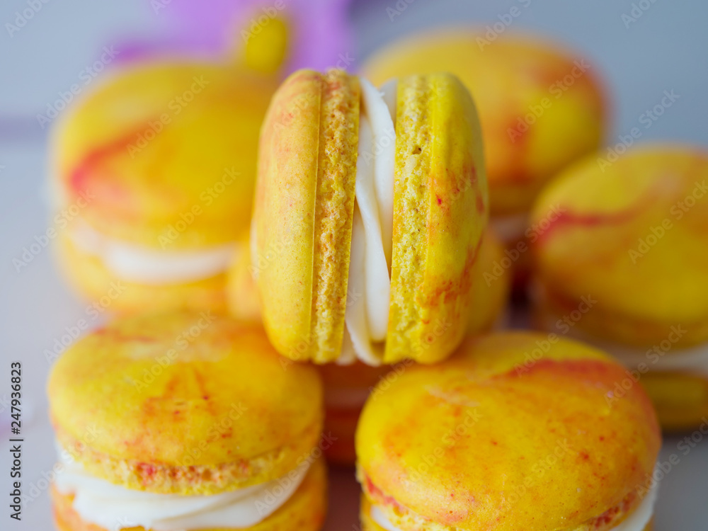 French macaroni cookies close-up on the table French macaroni cookies close-up on the table