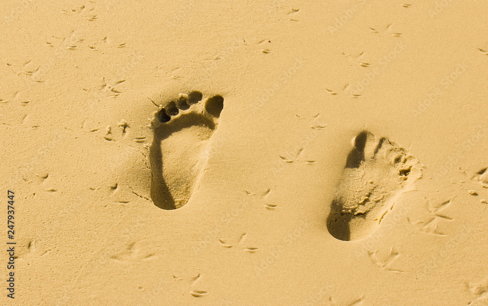 Fußspuren im Sand Australien Sandstrand Stock Photo | Adobe Stock