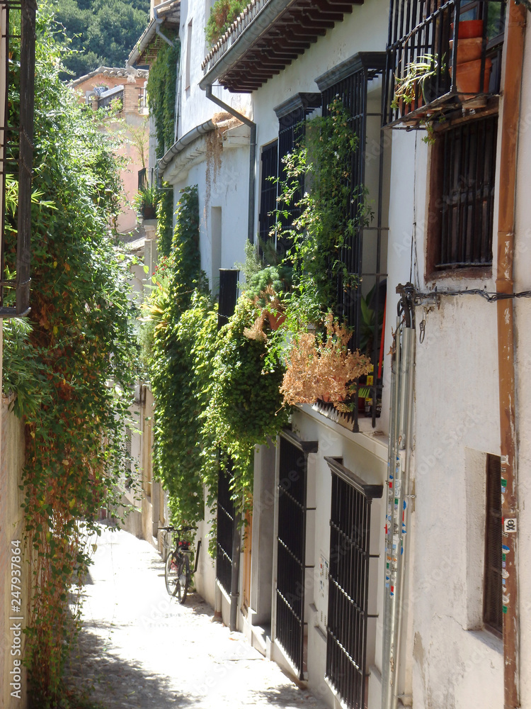 Obraz premium Alley in Granada Spain
