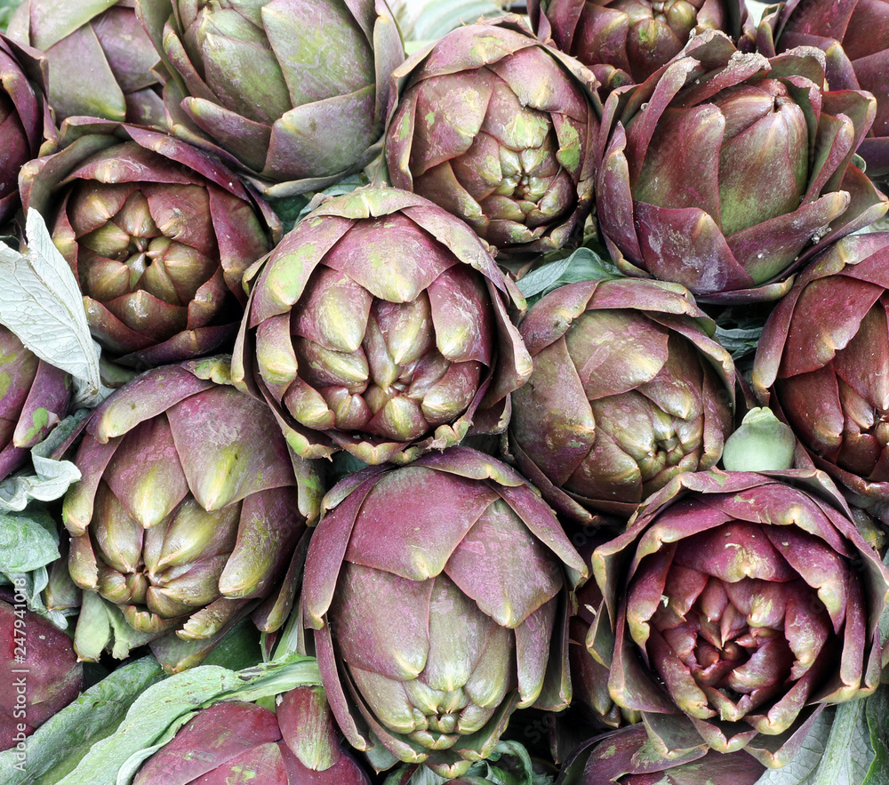 background of large green globe artichokes ready to be cooked fo background of large green globe artichokes ready to be cooked fo