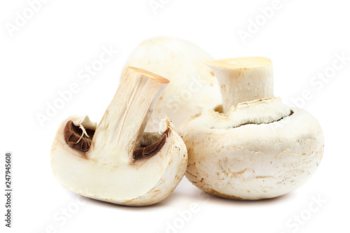 Fresh mushrooms champignons on white background.