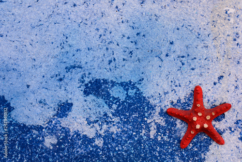 beautiful starfish on blue sea background