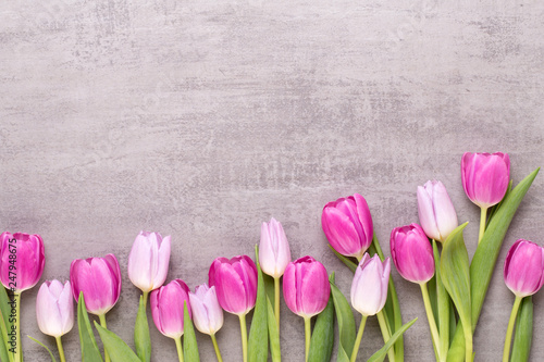Fototapeta Naklejka Na Ścianę i Meble -  Spring greeting card, pastel color tulips on the gray background.