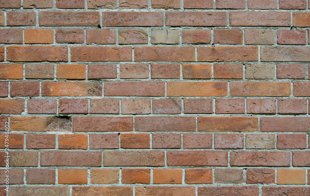 Obraz premium Texture of an old brick wall.