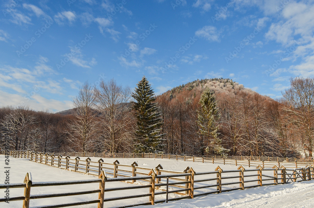 Beautiful snow-covered landscape in Romania-Malini during winter. Winter snowy country road under a blue sky in a mountain village . Beautiful snow-covered landscape in Romania-Malini during winter. Winter snowy country road under a blue sky in a mountain village .