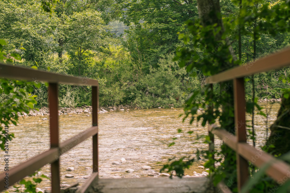 Mountain river. Tranquil scenery in the middle of green forest Mountain river. Tranquil scenery in the middle of green forest