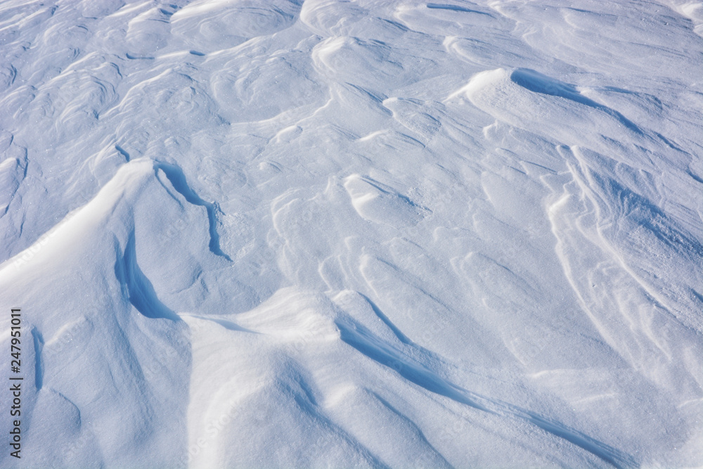 Obraz Close up background of fresh snow texture.