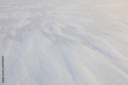 Snow background in nature