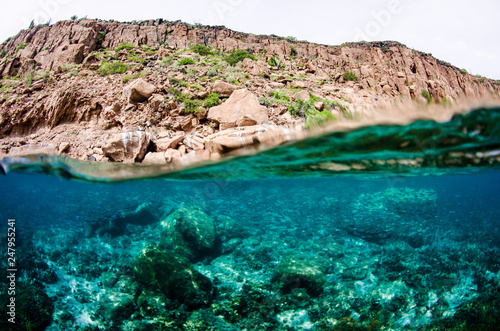 Coral reef scenics of the Sea of Cortez. Cabo Pulmo National Park, Baja California Sur, Mexico. The world's aquarium.