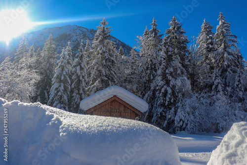 A Winterinspiration in the Alps photo