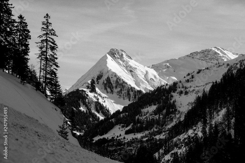 Black and White Winter Inspiration in the Mountains