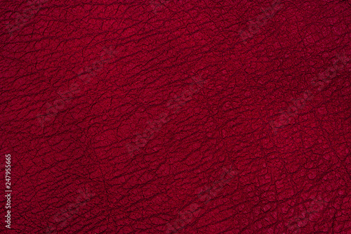 Dark red leather surface as a background, leather texture. 