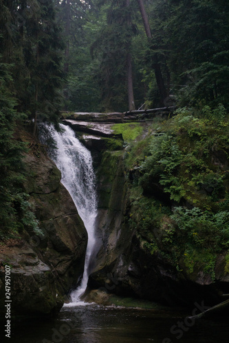 waterfall in the middle of forest, fallen trees, raining. Karkonosze, Poland