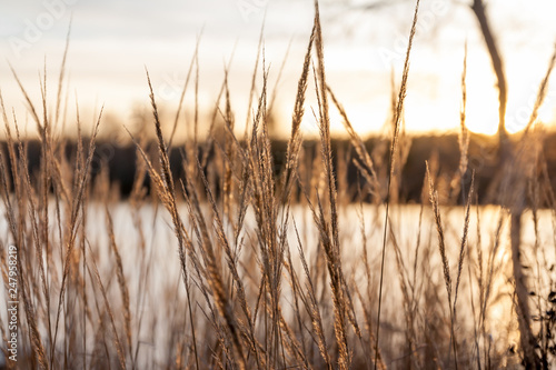 Beautiful autumn landscape of Kymijoki river waters at sunset. Finland  Kymenlaakso  Kouvola.