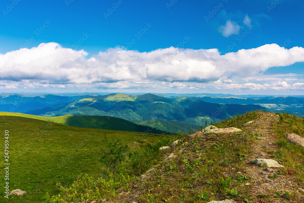 beautiful landscape in mountains. path along the hill. grassy meadow. sunny weather. fluffy clouds on the sky