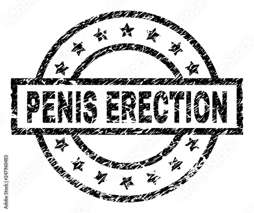 PENIS ERECTION stamp seal watermark with distress style. Designed with rectangle, circles and stars. Black vector rubber print of PENIS ERECTION text with unclean texture.