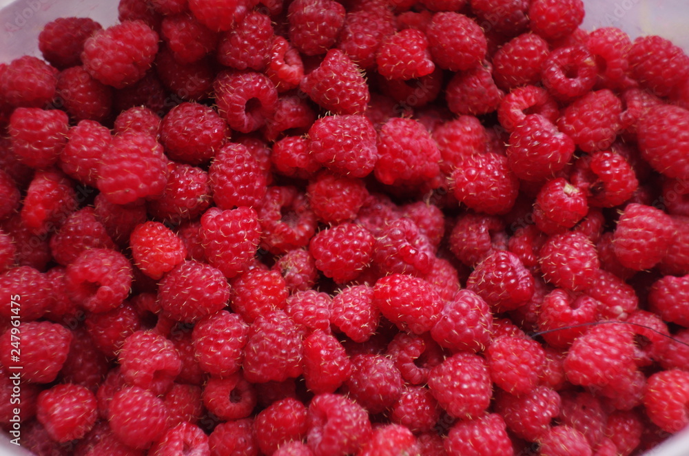 Pink raspberry close up. Fresh and healthy food with lots of vitamins Pink raspberry close up. Fresh and healthy food with lots of vitamins