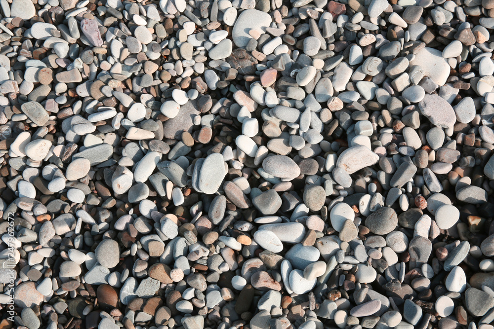 Naklejka premium gray pebbles on the beach on the Black Sea