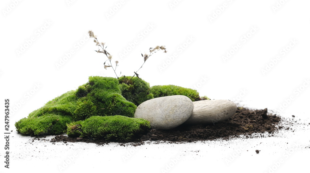 Green moss with dirt, soil and decorative stone, rock isolated on white background - obrazy, fototapety, plakaty 