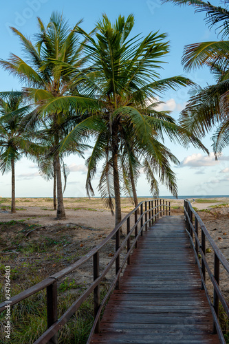 Coqueiros praia Aracaju © poetadicarvalho