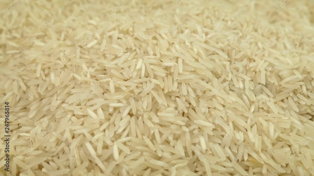 Rice Grains Moving Shot Rice Grains Moving Shot