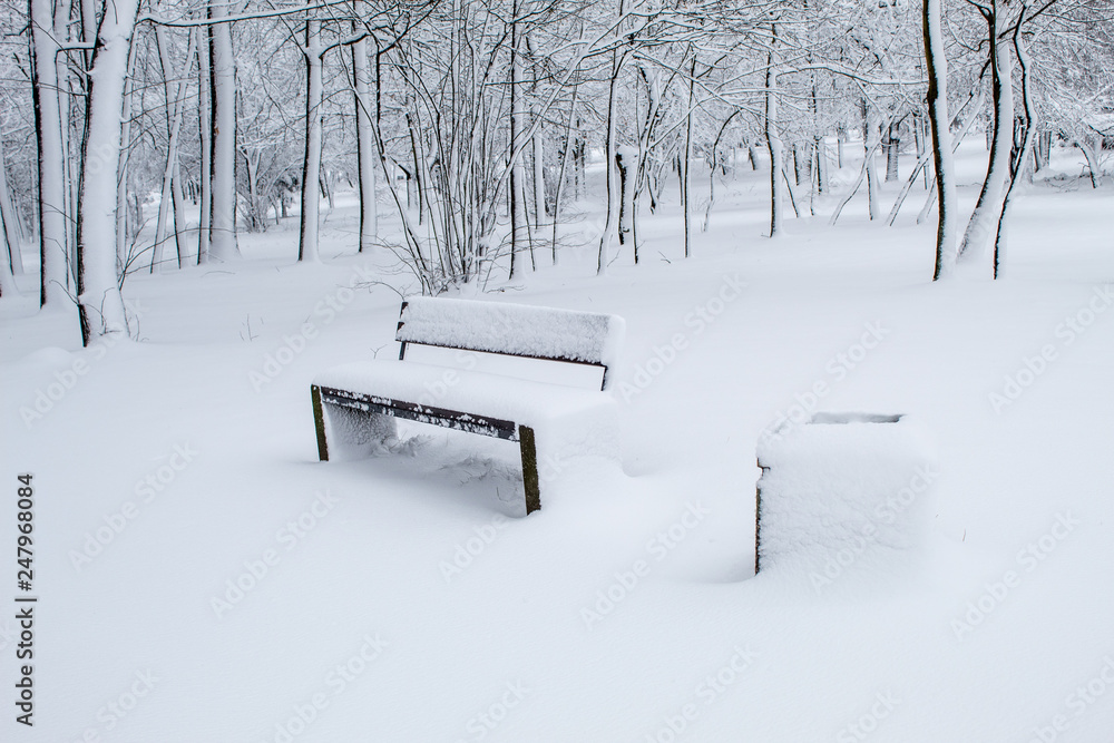 Snow-covered benches in the city park, snow in the city, snowfall in the city, trees in white snow