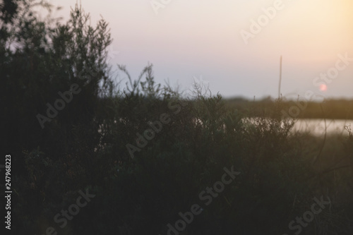 Outdoor view on evening nature background
