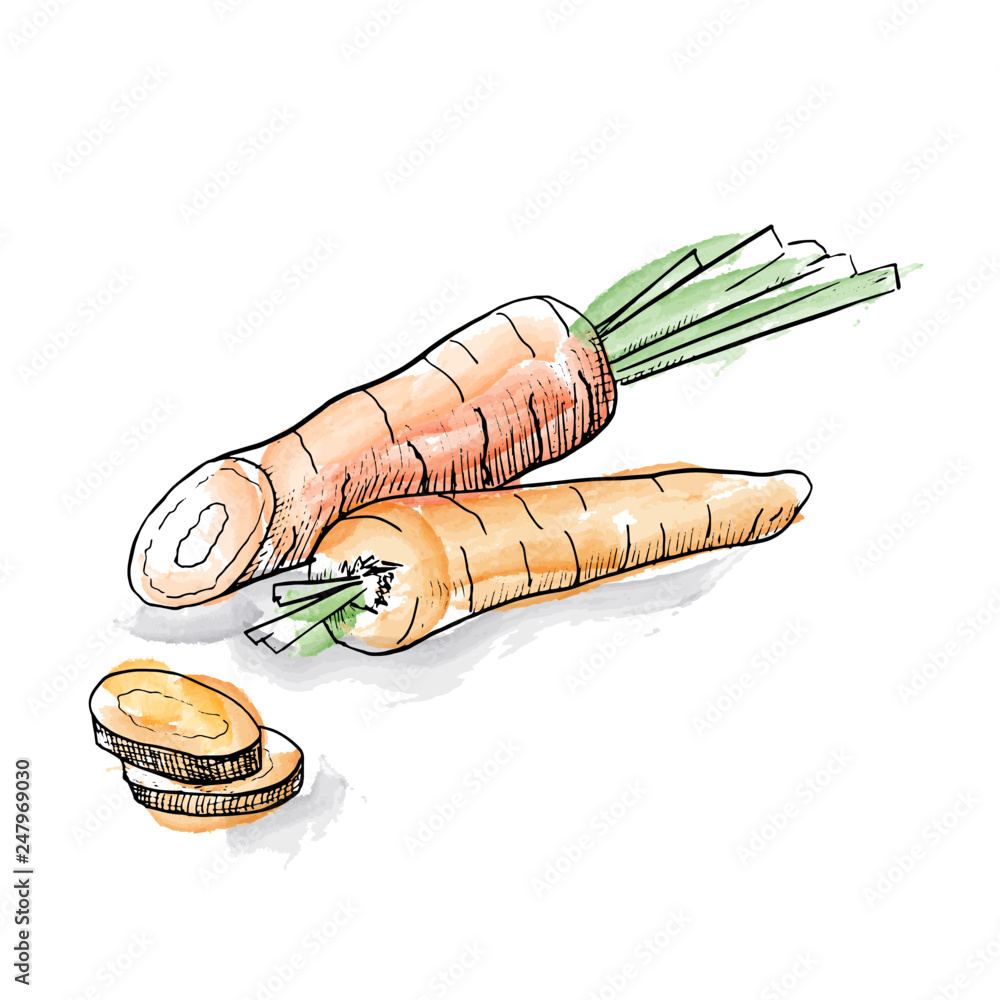 Coloring book Creepy Carrots! Child Drawing, carrot, white, child png |  PNGEgg