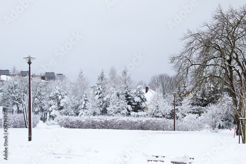 Winter fairy tale in the city park, snowy forest, white trees in the fluffy soft snow