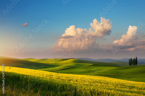 spring farmland and country road; tuscany countryside rolling hills