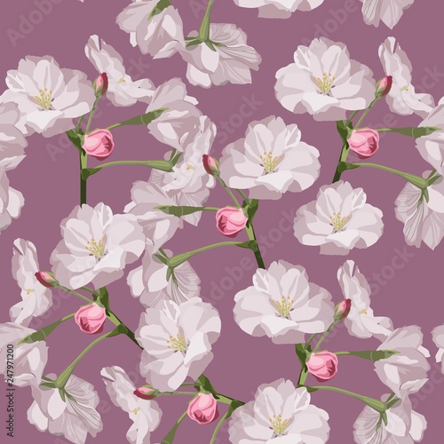 Sakura. Seamless pattern. Pink Cherry blossom branches. Spring botanical illustration. Violet background.