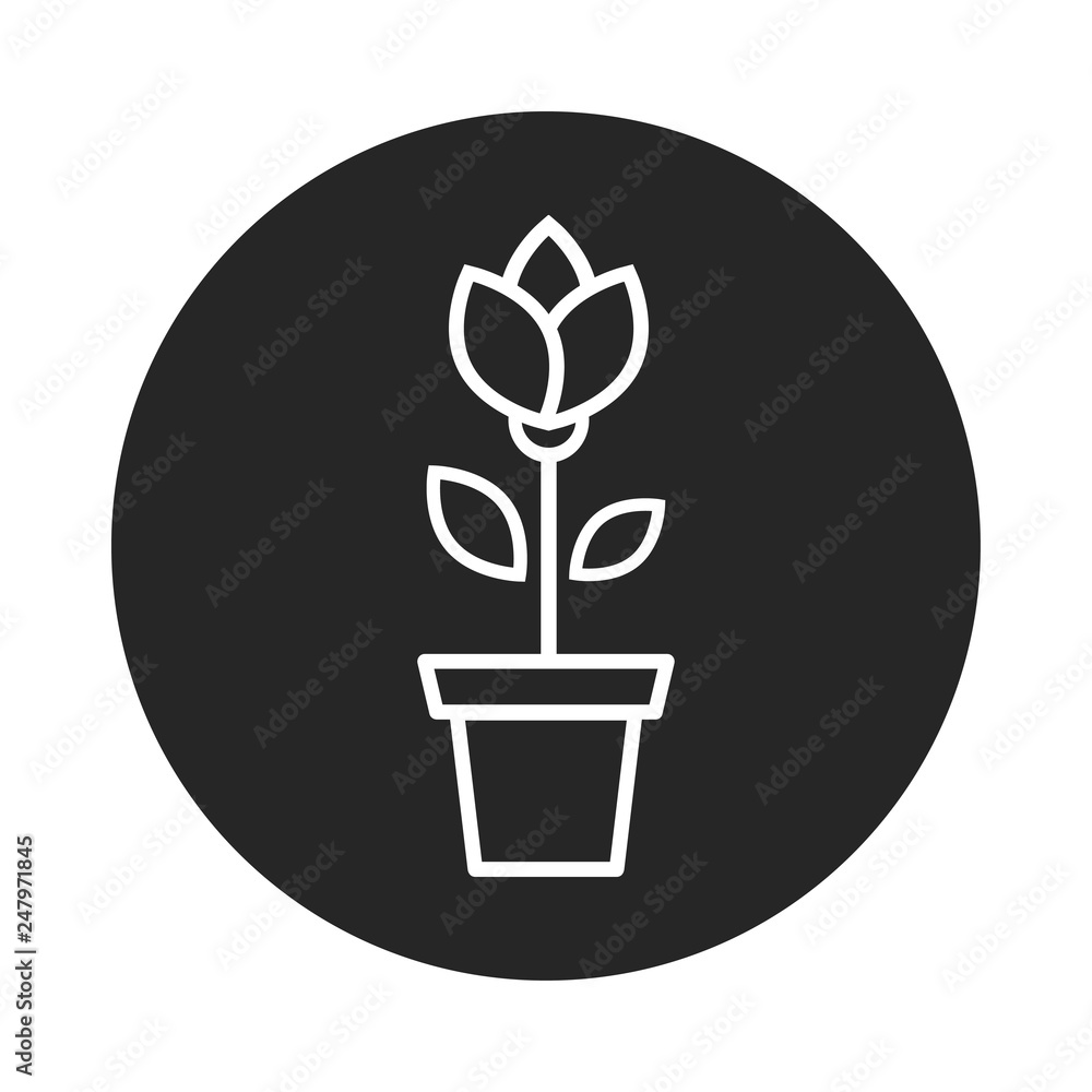 cartoon tulip vector outline white in a pot icon cartoon tulip vector outline white in a pot icon